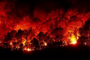 Nuovo piano regionale AIB