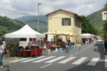 Sfoglia la galleria